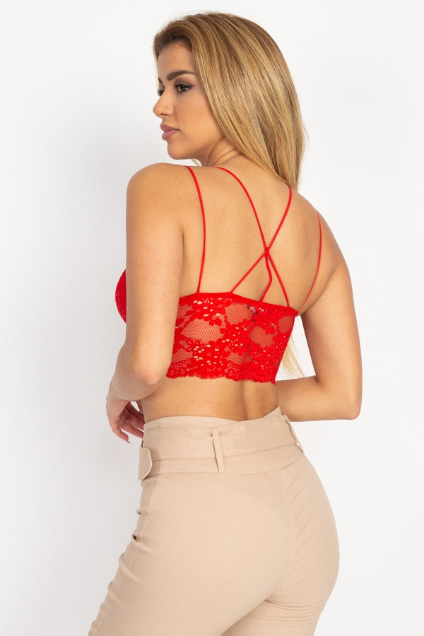 Embroidered Lace Bustier Crop Top