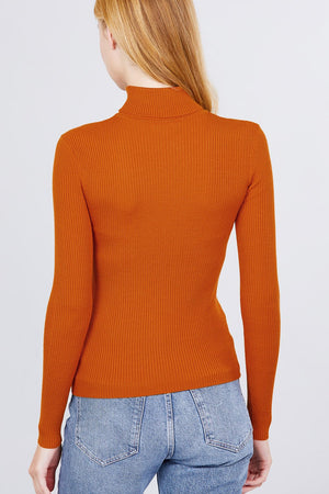 Turtle Neck Viscose Rib Sweater