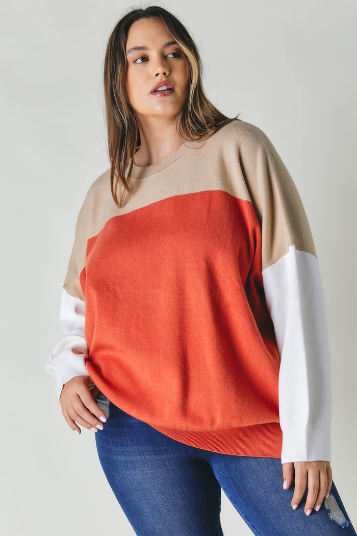 Plus Round Neck Multicolored Oversized Sweater